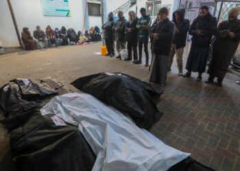The occupation targets inhabited homes in Rafah and commits 13 massacres
