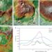 The study of the morphology and mineralogy of Mars suggests that it may have once experienced active volcanism and crustal recycling.