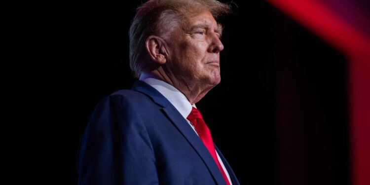 Trump calls for protection of in vitro fertilization after US court ruling