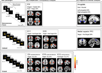 Twin study sheds light on hereditary brain activity