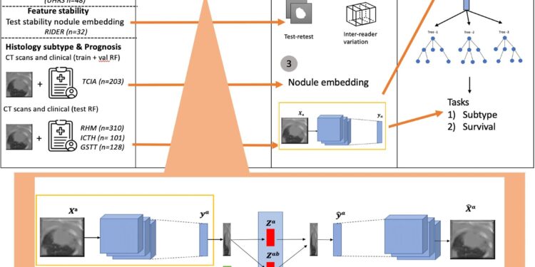 ‘Virtual biopsy’ uses AI to help doctors assess lung cancer