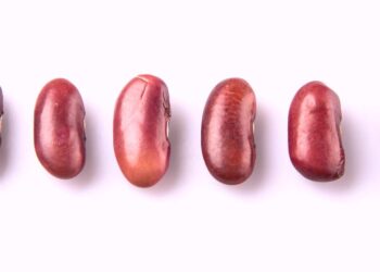 he inserts red beans into his penis and ends up in the hospital