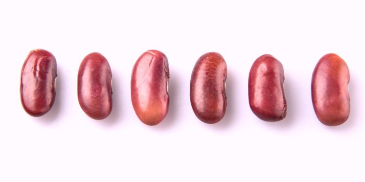 he inserts red beans into his penis and ends up in the hospital