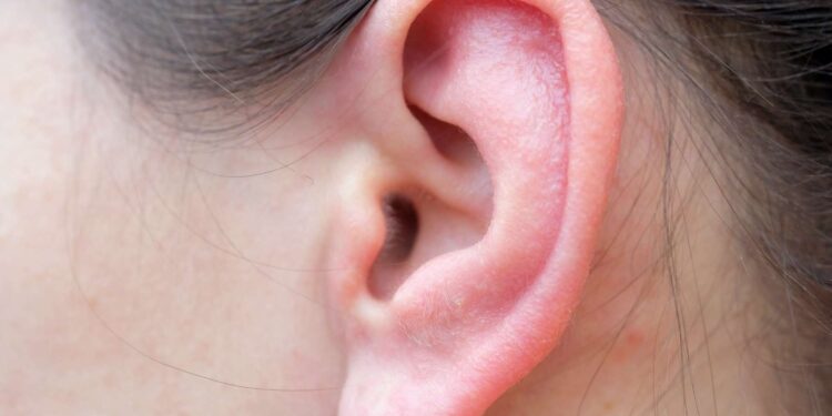 his ear is transformed into foul-smelling “apple jelly”