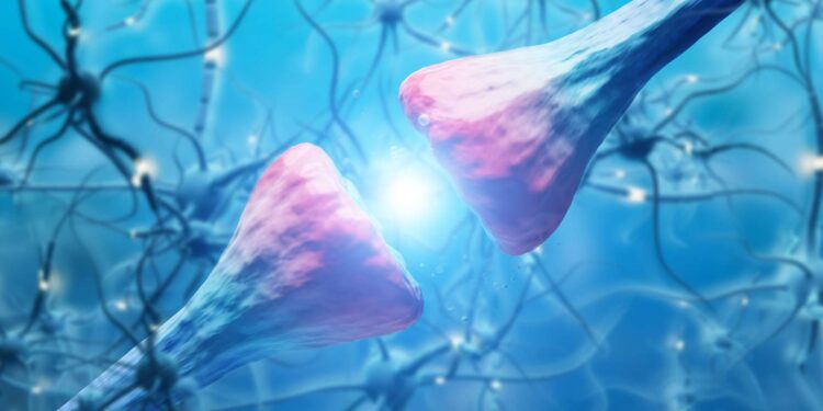 the promise of Kibra protein