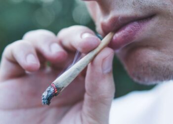 this is why cannabis makes you hungry