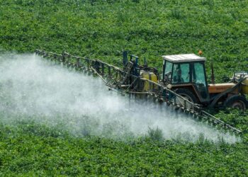 A little more pesticides used in fields close to organic plots