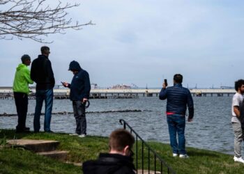 Collapse of a bridge in Baltimore: conspiracy theorists at work on social networks