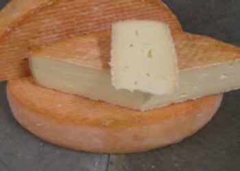 Deadly listeriosis epidemic: ex-cheese maker pleads guilty after death of two people