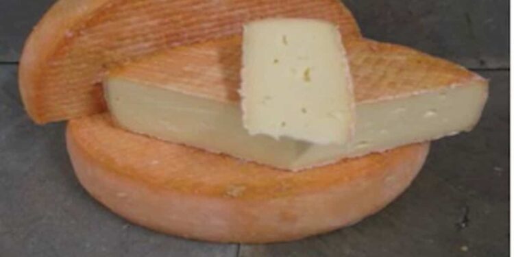 Deadly listeriosis epidemic: ex-cheese maker pleads guilty after death of two people