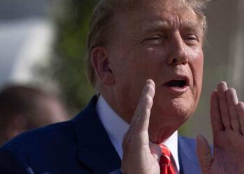 Donald Trump could be good for democracy