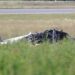 Five Canadians die in small plane crash in Nashville