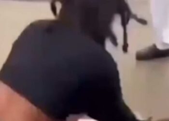 Head violently smashed on concrete at school: teenage girl fights for her life