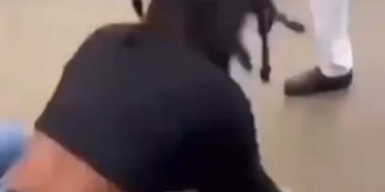 Head violently smashed on concrete at school: teenage girl fights for her life