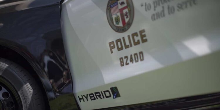 Her 5-year-old son found dead in a suitcase: a mother arrested two years later