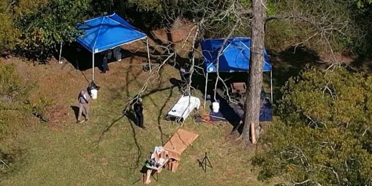 Homeowner Discovers Toes in His Backyard