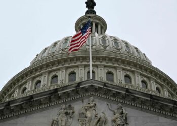 ‘Literally anyone else’: American changes his name to run for office