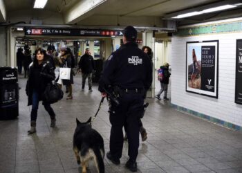 Panic in the New York subway: shots fired during rush hour