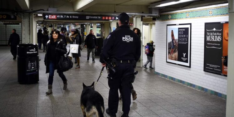 Panic in the New York subway: shots fired during rush hour