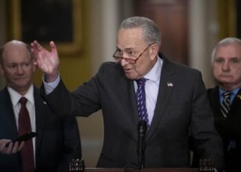 Senate Democratic leader raises voice against Netanyahu