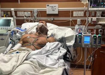 “They are alive”: a former martial arts champion wakes up after saving his parents at the last minute