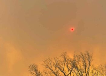 United States: one dead in out-of-control fires in Texas