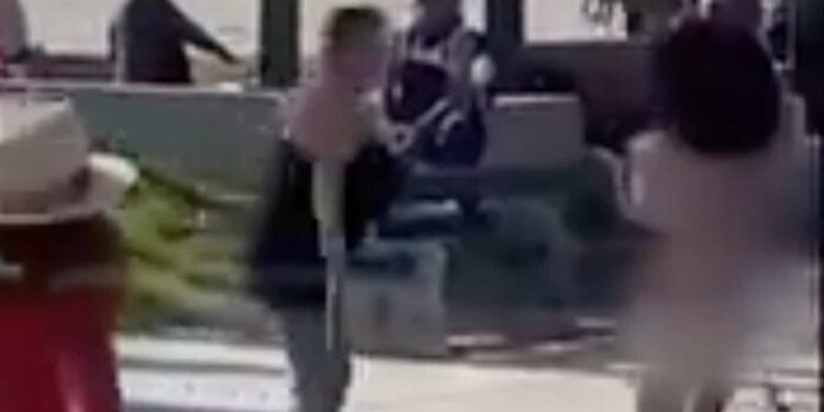 (VIDEO) Naked woman causes chaos at Venice Beach