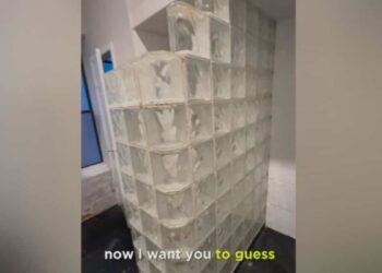 Would you be willing to pay $3,500 per month for an apartment with a shower in the kitchen?