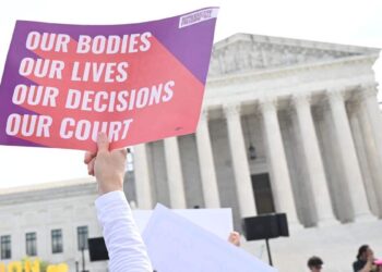 Abortion: Idaho’s ultra-restrictive law before the United States Supreme Court