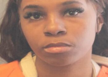 “Alone for several days”: accused of having abandoned her young children…to go on a cruise