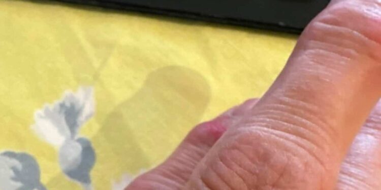 American baker loses diamond worth US$4,000 in batch of cookies
