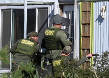 California overwhelmed by illegal cannabis farms