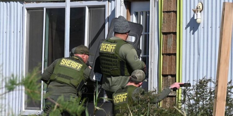 California overwhelmed by illegal cannabis farms