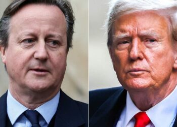 Cameron met with Trump in Florida before his visit to Washington