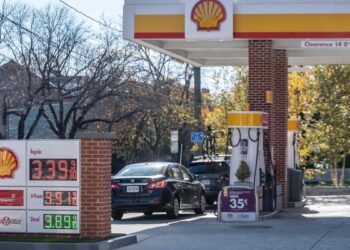 He tries to rob a gas station with a snake