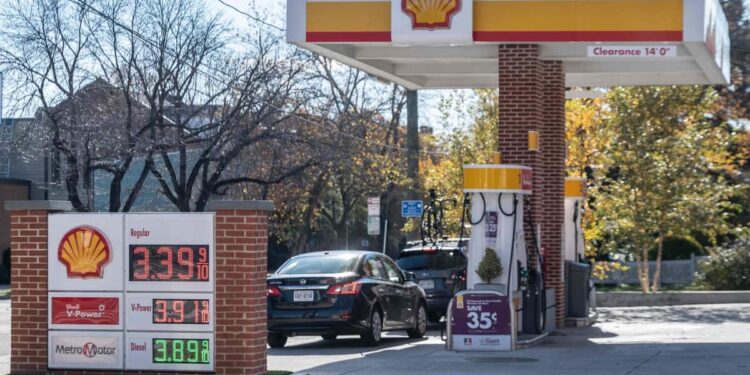 He tries to rob a gas station with a snake