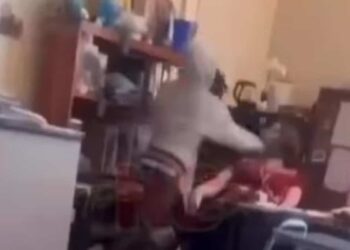 IN PICTURES |  Student slaps teacher twice in front of class
