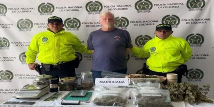 Illegal trafficking: arrested after offering guided tours… of his cannabis farm