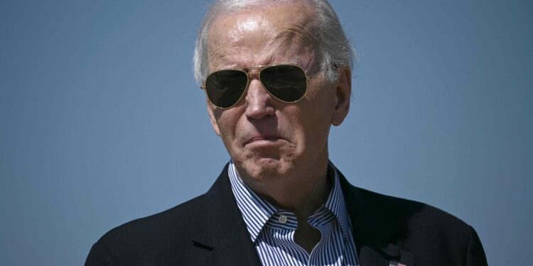 Joe Biden reaches out to voters of Nikki Haley, Republican candidate defeated by Trump