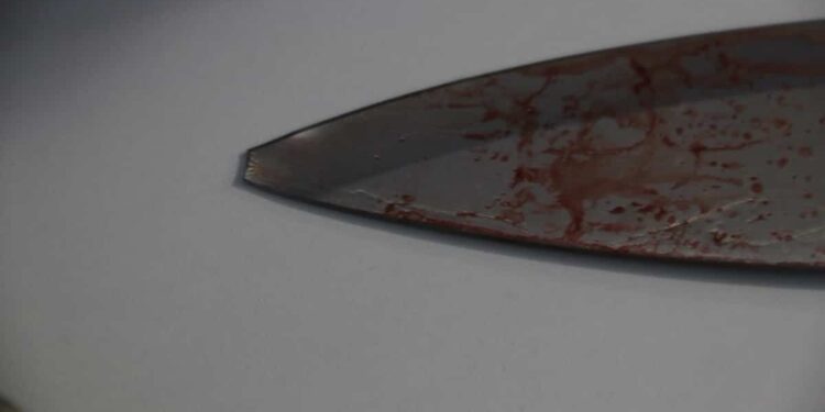 Medical student kills mother with 70 stab wounds