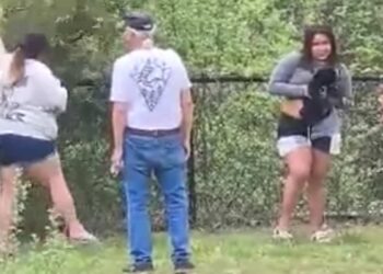 ON VIDEO |  ‘Leave the animal alone’: Group endangers bear cub for photos