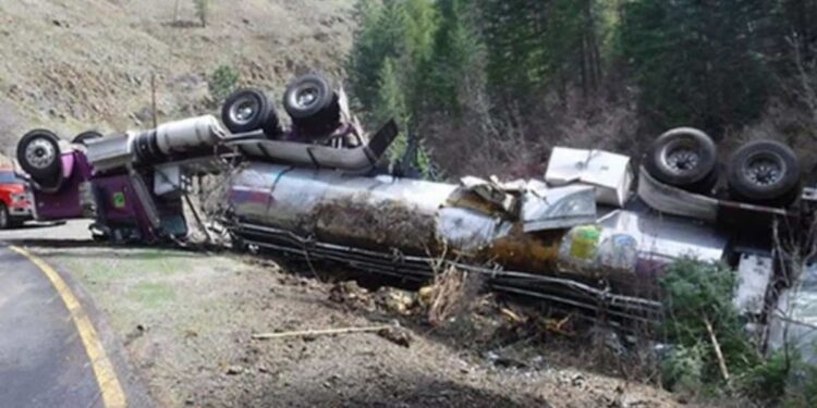 Thousands of salmon survive accident while jumping into river