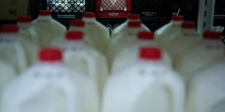 Traces of H5N1 virus detected in pasteurized milk in the United States