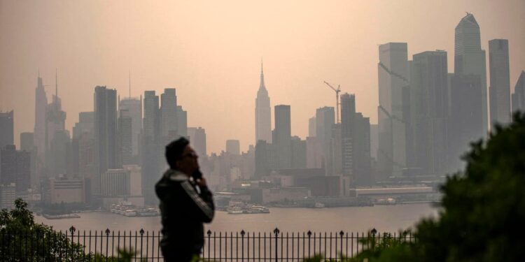 Air pollution harms mental health, US study finds
