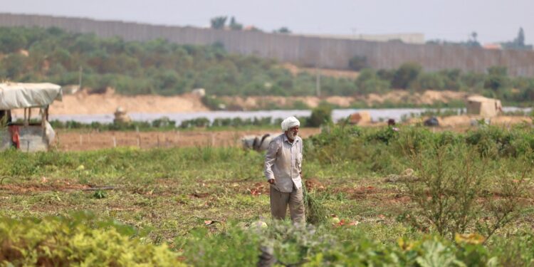 Beit Hanoun.. Gaza’s northern gateway and the land of historical battles |  Encyclopedia