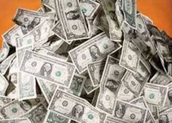 Chicken pays well: he earns half a million dollars at the grocery store