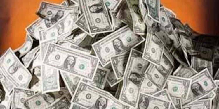 Chicken pays well: he earns half a million dollars at the grocery store