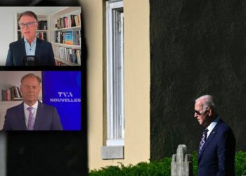 Democratic strategy: choose Biden “even if you find him old, slow and outdated”