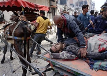 Dozens of martyrs in Jabalia and 650,000 displaced from Rafah  News