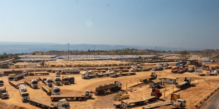 How is China beating the West in the mineral war?  |  Economy